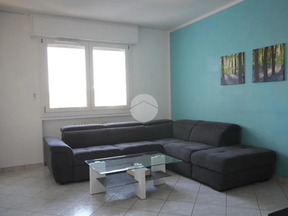 5 locali in affitto a Verona - Borgo Venezia