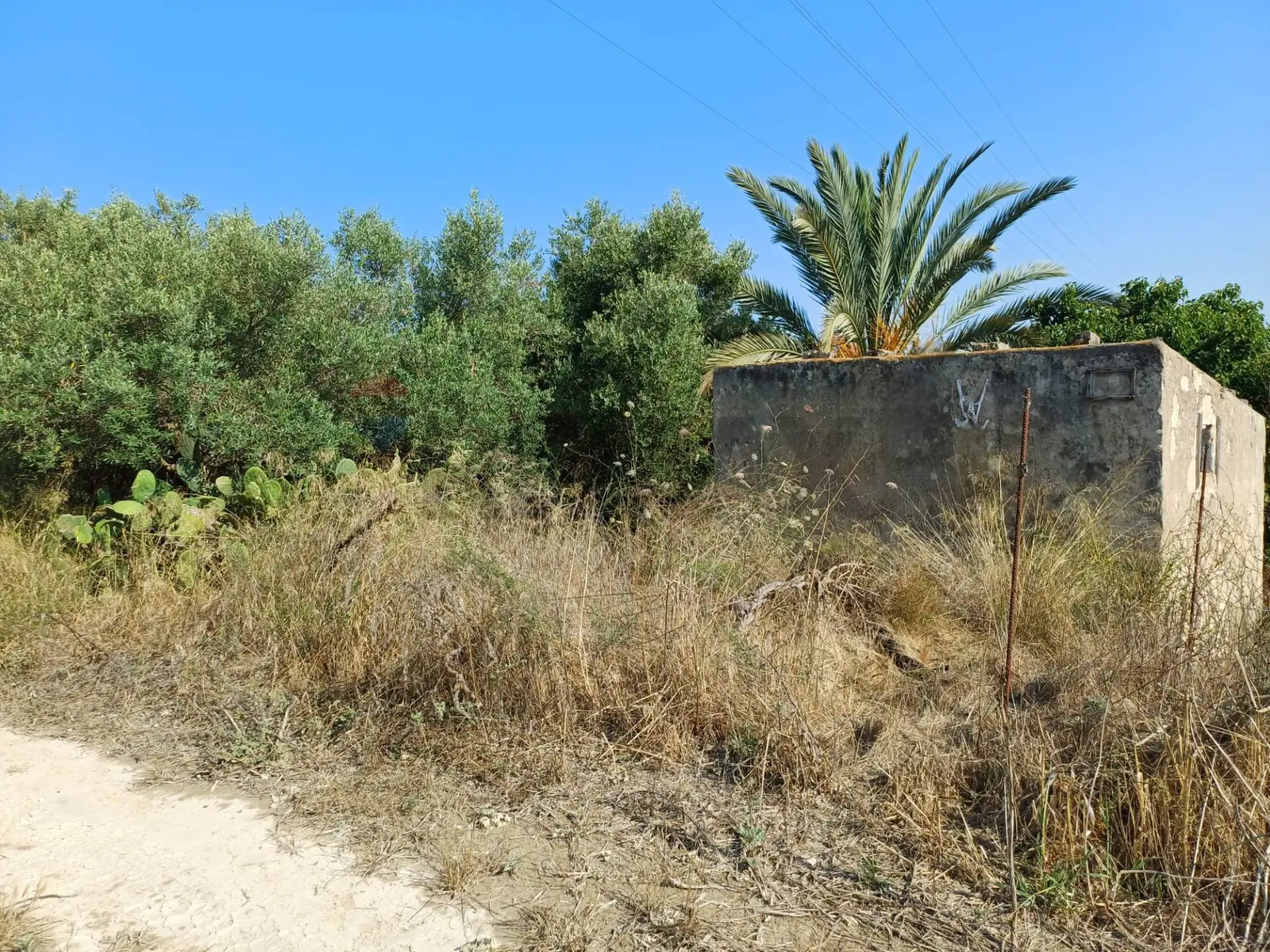 Terreno in Vendita a Noto