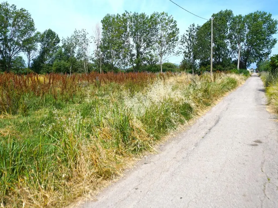 Ter. agricolo in vendita a Eboli