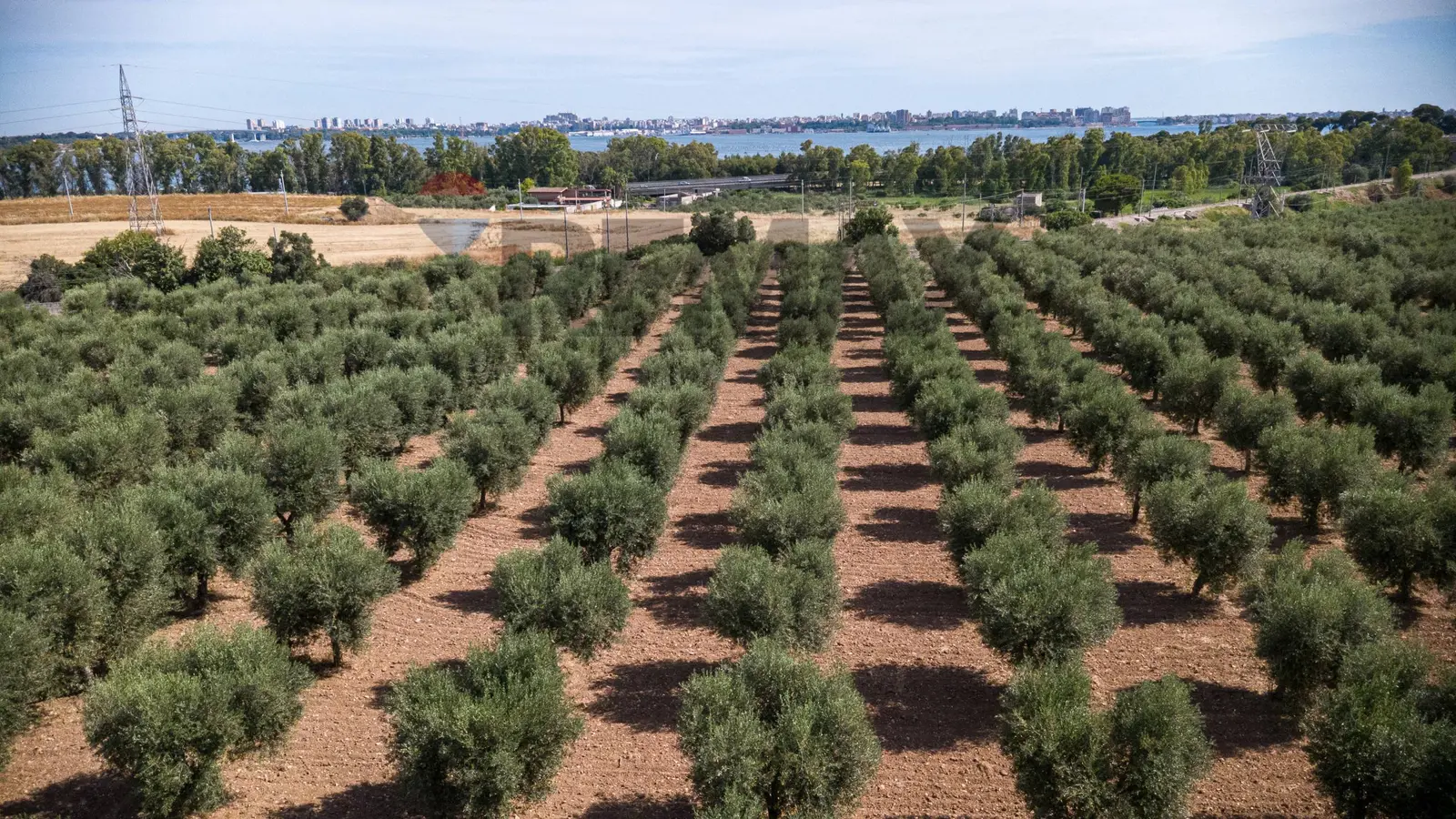 Terreno in Vendita a Taranto