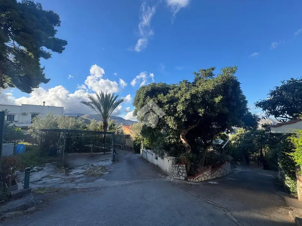 Trilocale in affitto a Palermo