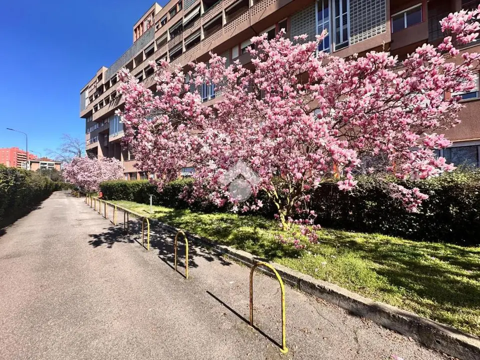 Trilocale in affitto a Milano