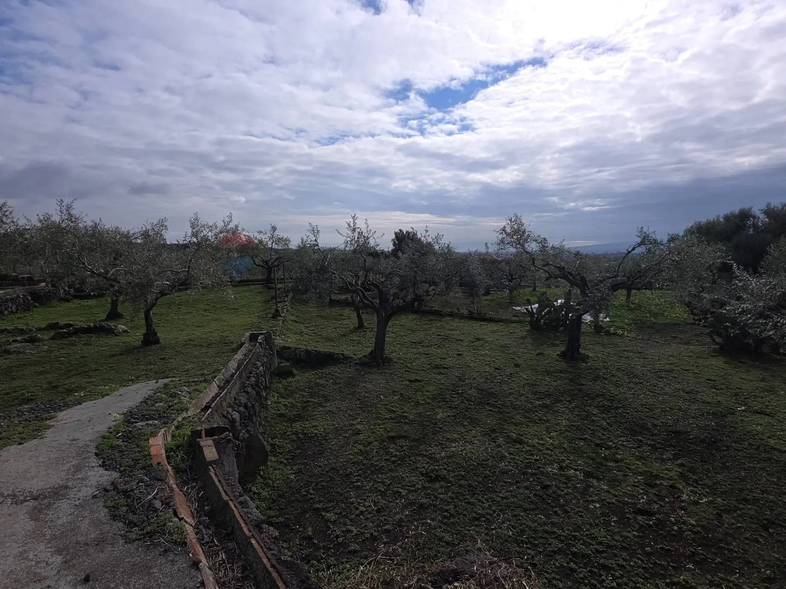 Terreno in Affitto a San Pietro Clarenza
