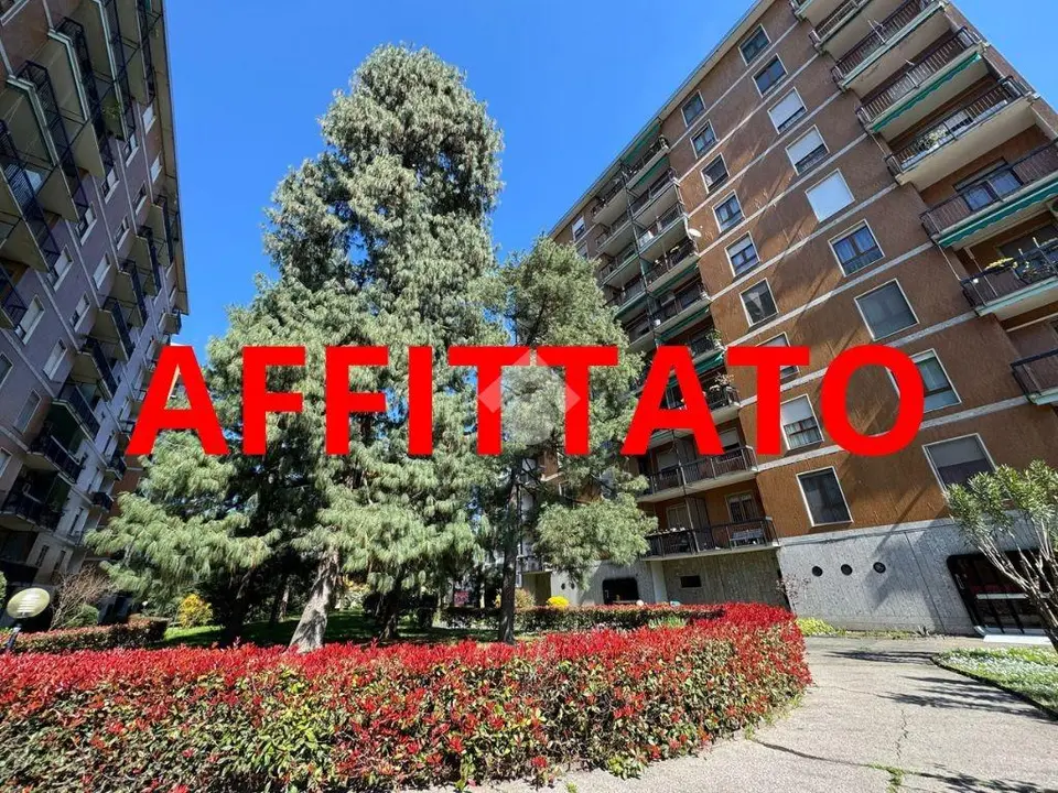 Bilocale in affitto a Corsico