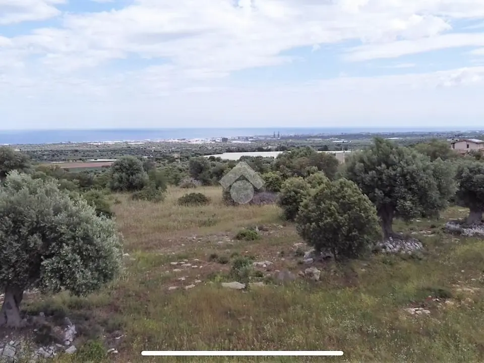 Ter. agricolo in vendita a Polignano A Mare