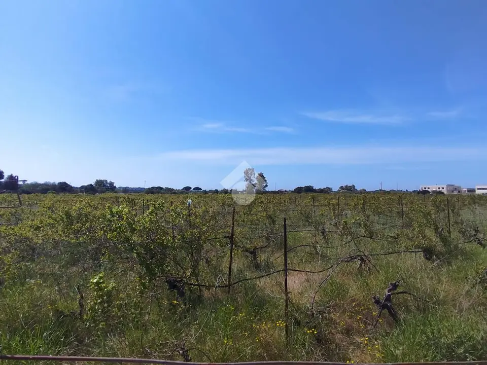 Ter. agricolo in vendita a Maracalagonis