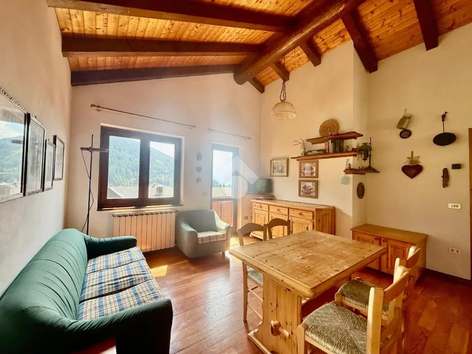 Bilocale in affitto a Ponte Di Legno