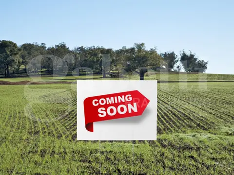Terreno in Via Callalta SNC, Silea (TV)