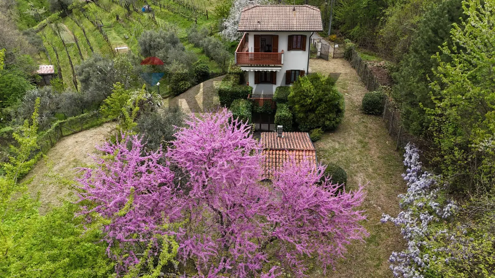 Casa Indipendente in Vendita a Molazzana
