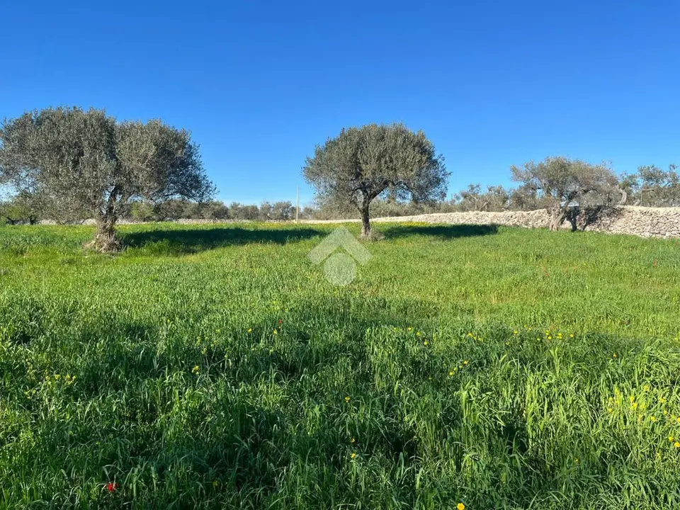 Ter. residenziale in vendita a Santeramo In Colle