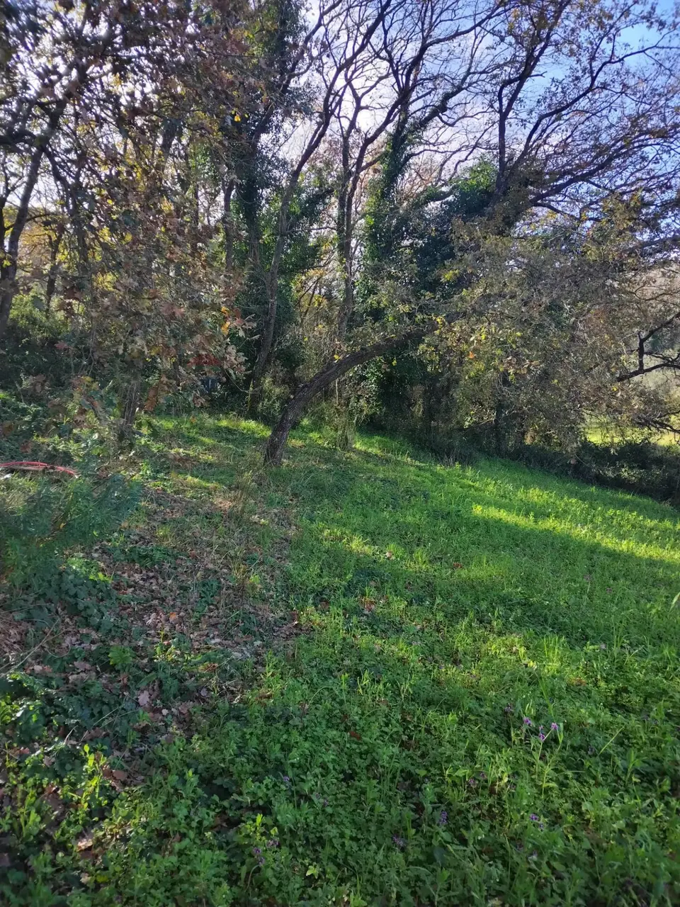 Terreno in Vendita a Piazza Armerina
