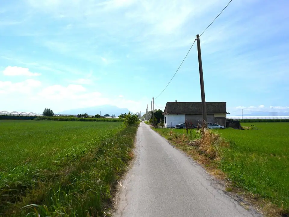 Ter. agricolo in vendita a Eboli