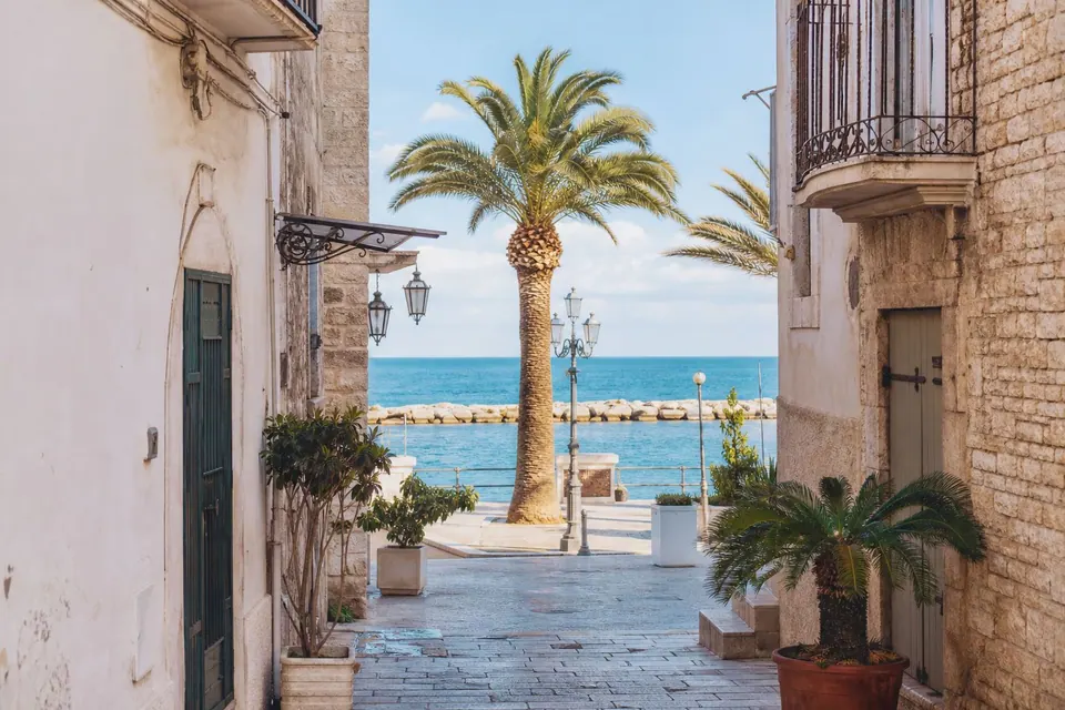 Bari