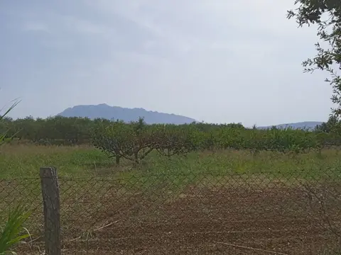 Terreno in via Casarsa snc, Campagna (SA)