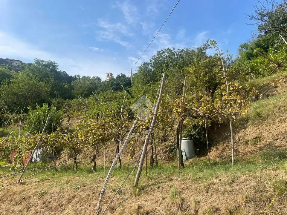 Ter. agricolo in vendita a Cellatica