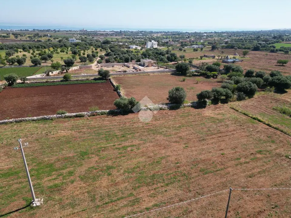 Ter. agricolo in vendita a Polignano A Mare