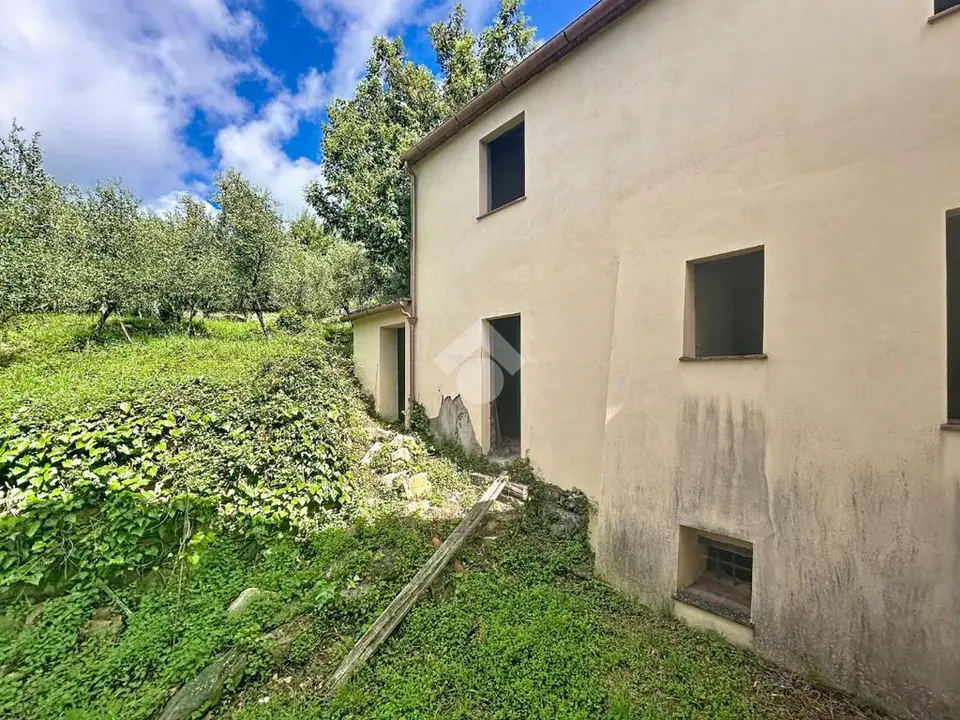 Casa indipendente in vendita a Calci