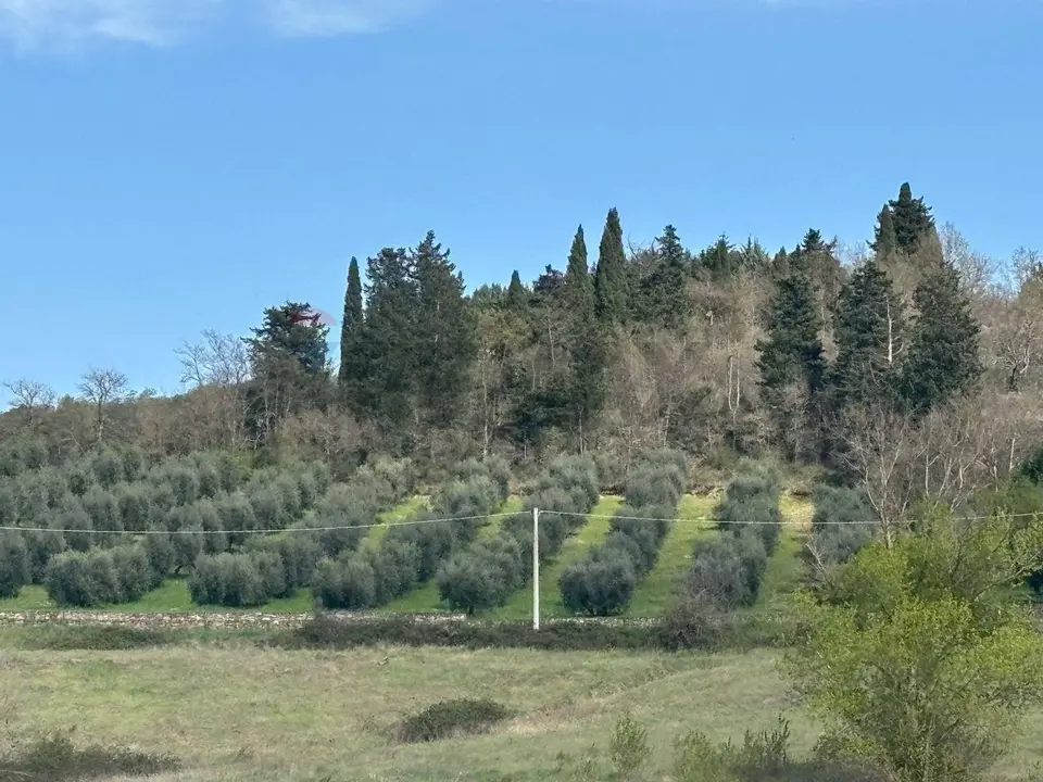 Terreno in Vendita a Perugia