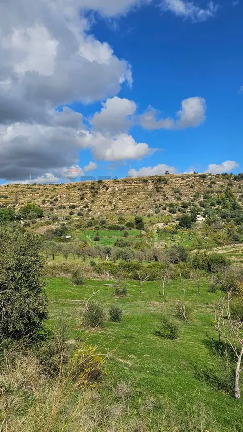 Terreno Edificabile in Vendita a Noto