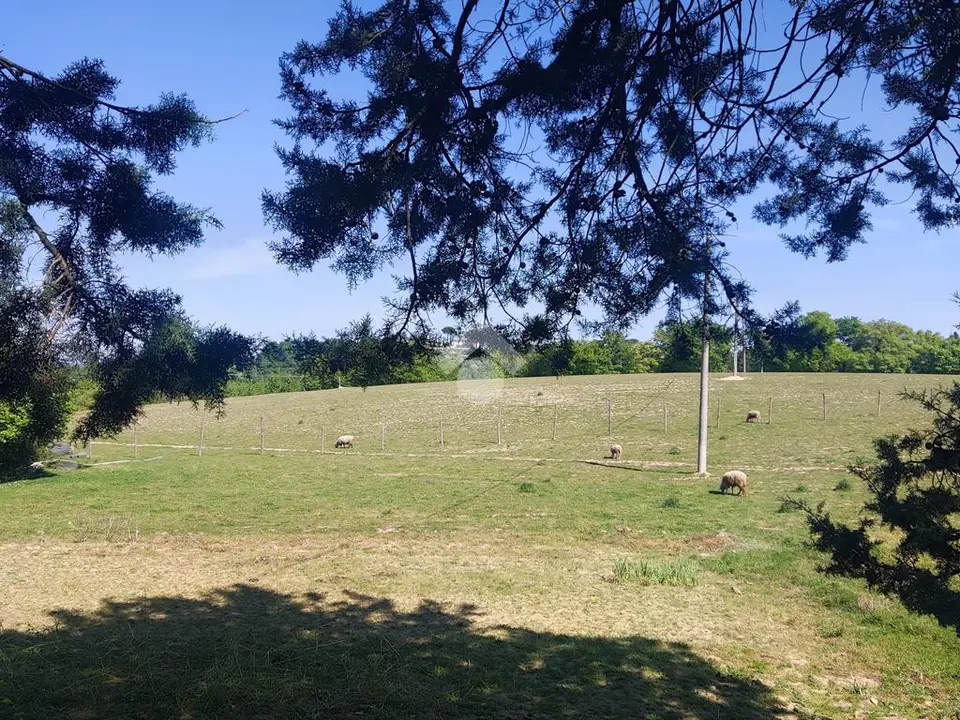 Ter. residenziale in vendita a Città Di Castello