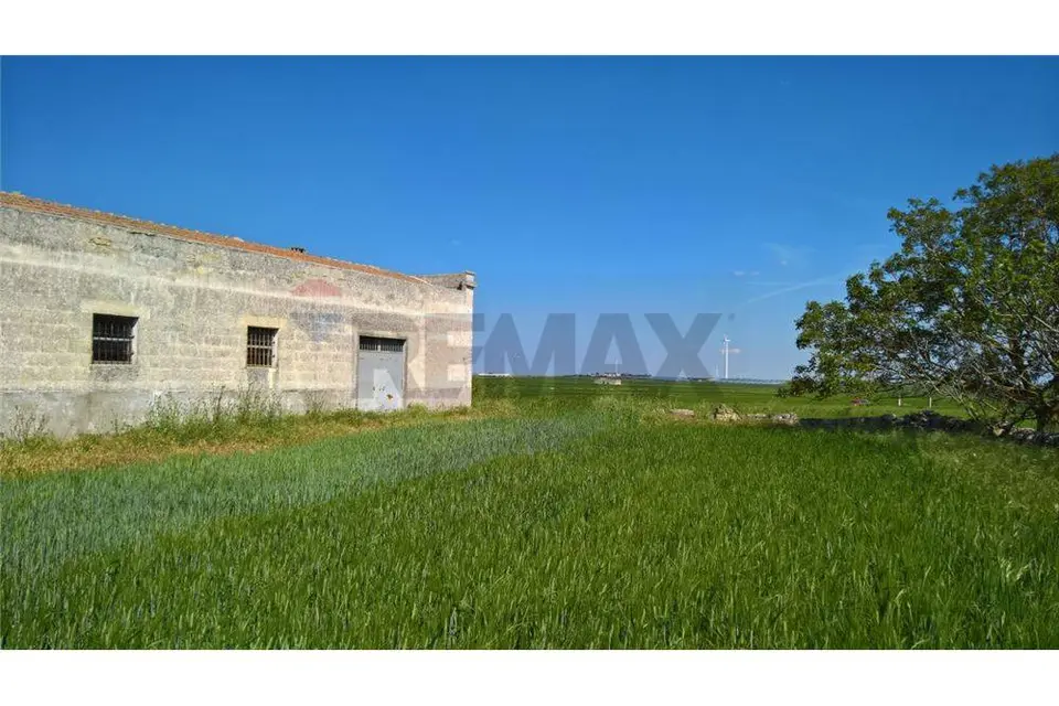 Terreno in Vendita a Laterza