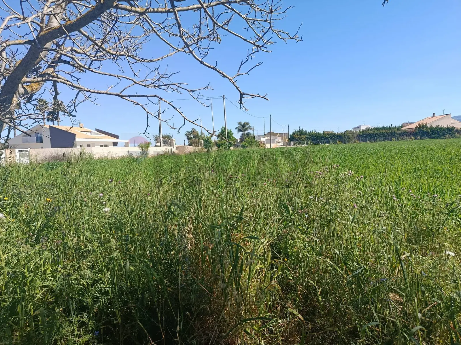Terreno in Vendita a Comiso