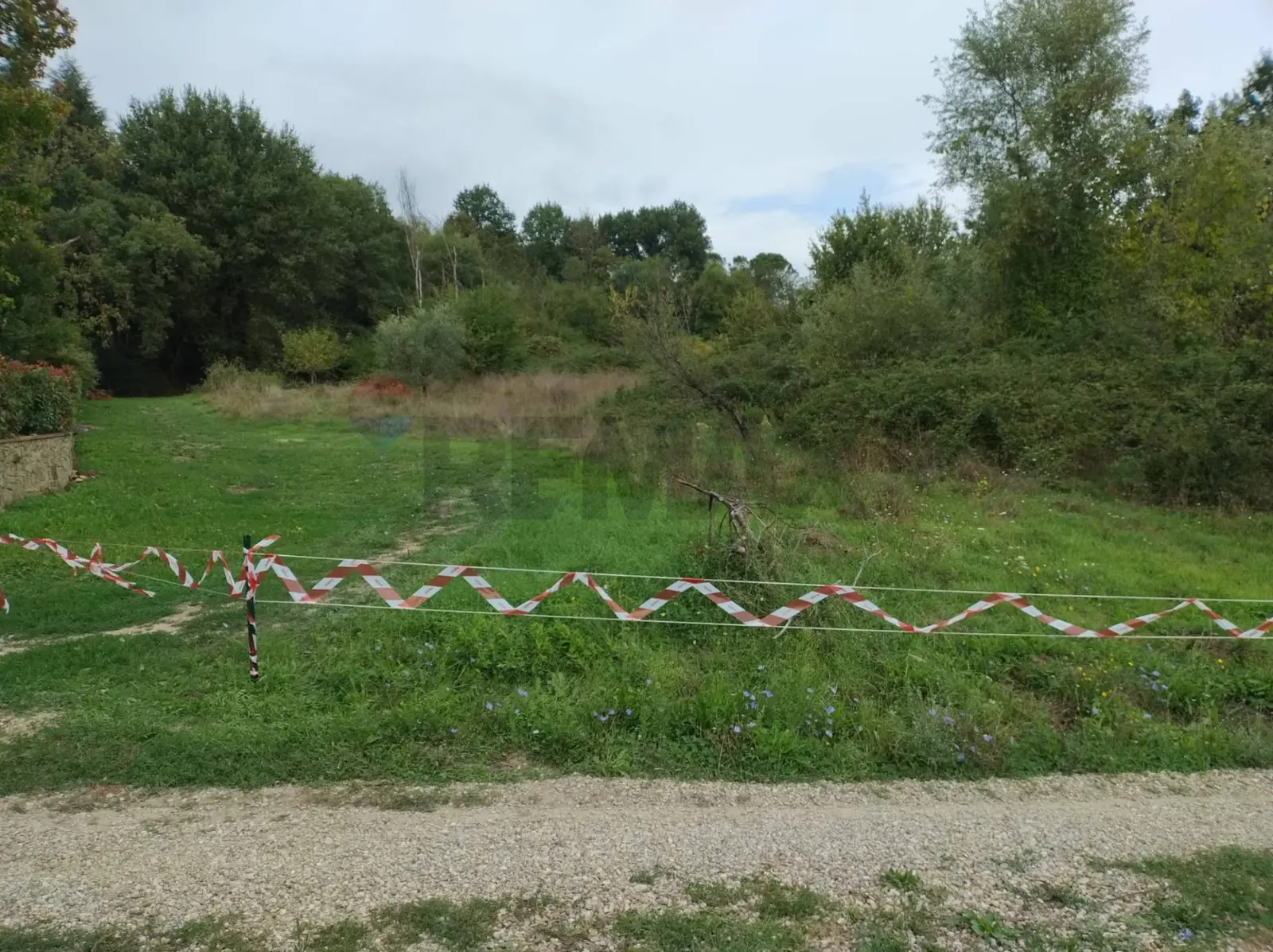 Terreno in Affitto a Montevarchi