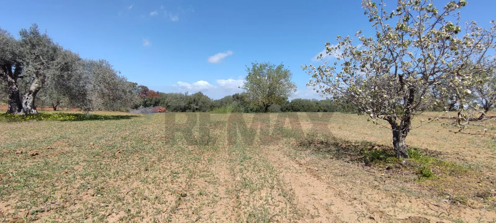 Terreno in Vendita a Caltagirone
