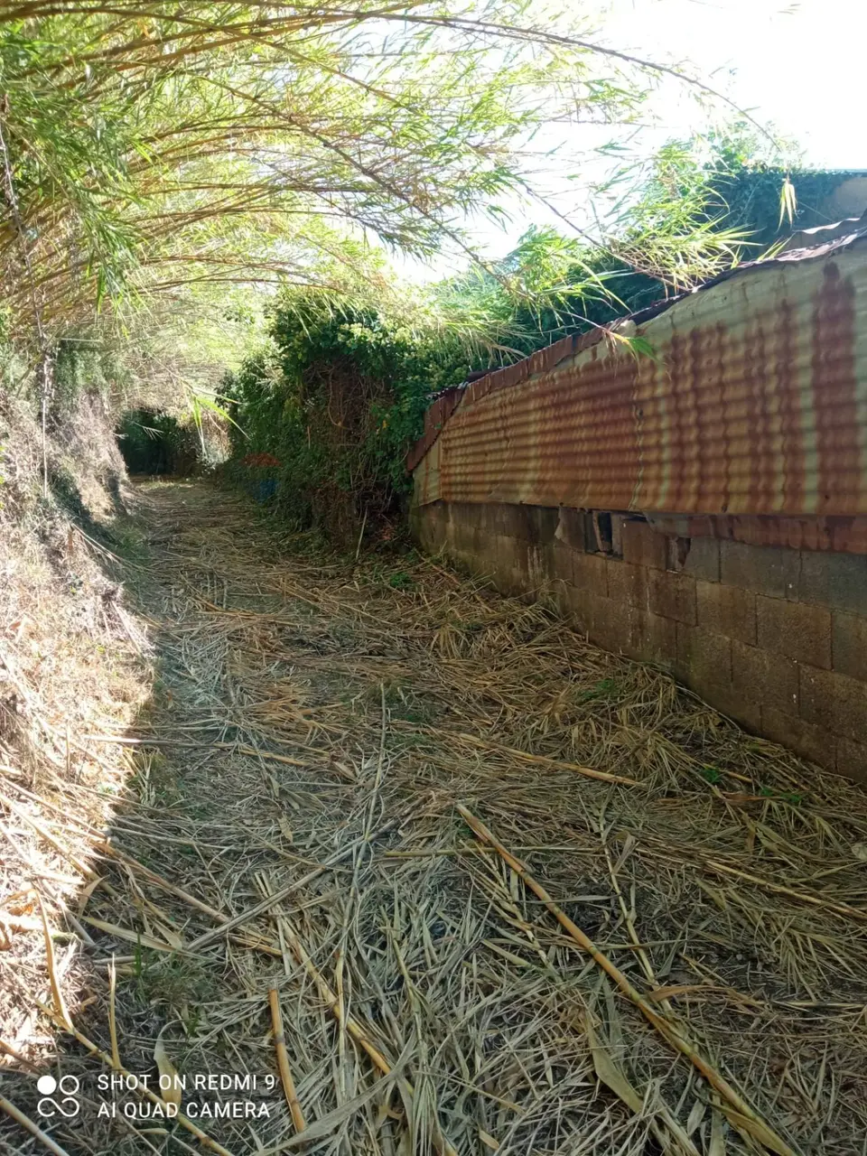 Terreno in Vendita a Giarre