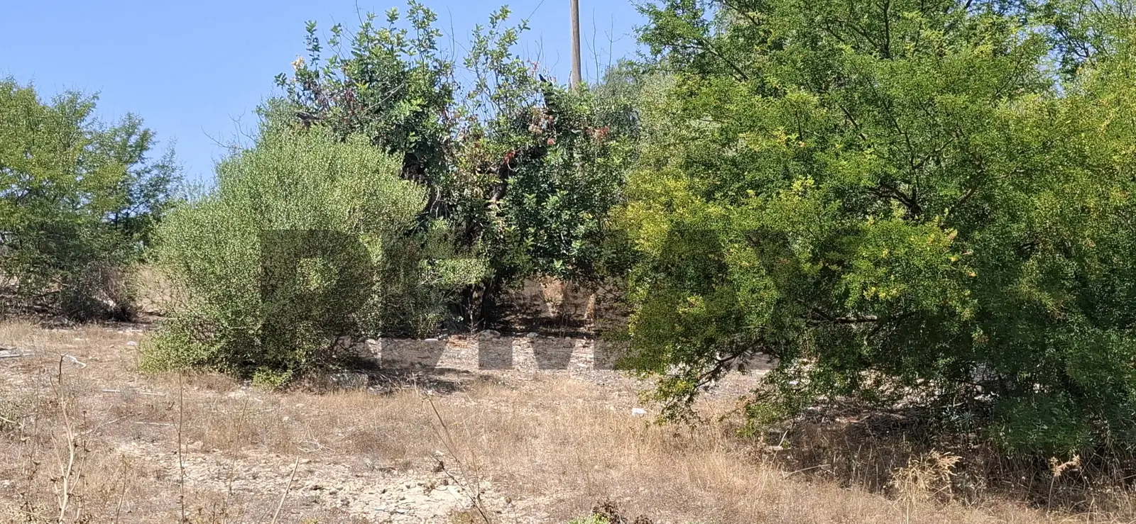 Terreno in Vendita a Vittoria