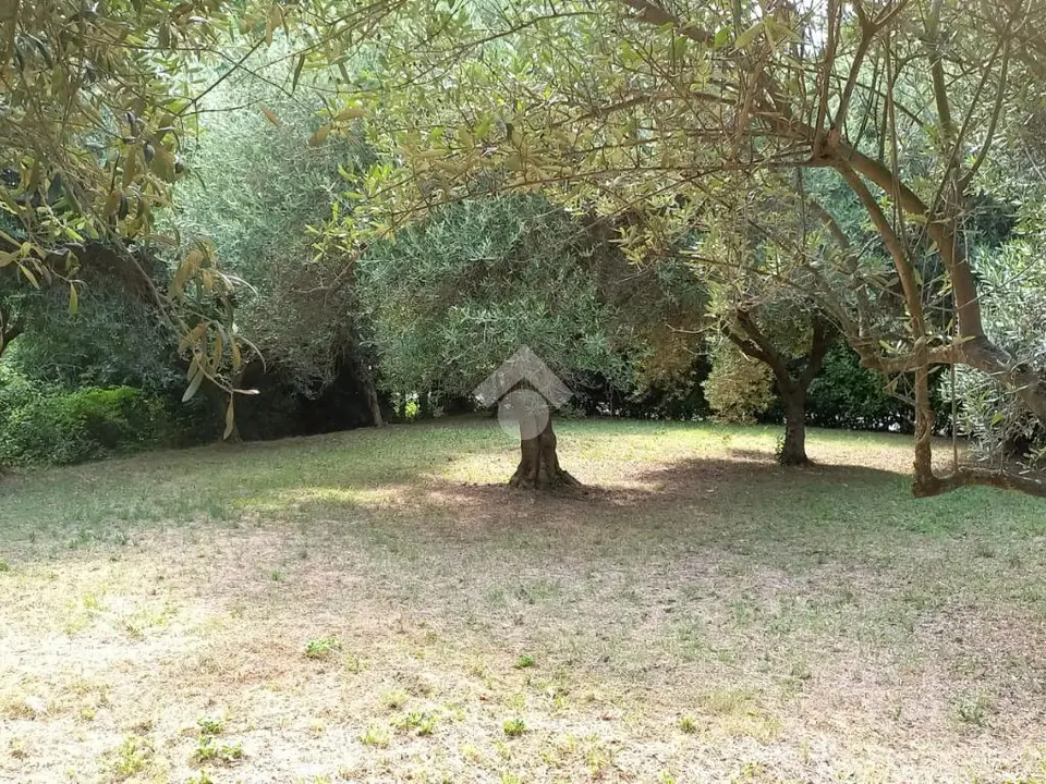 Ter. residenziale in vendita a Teolo