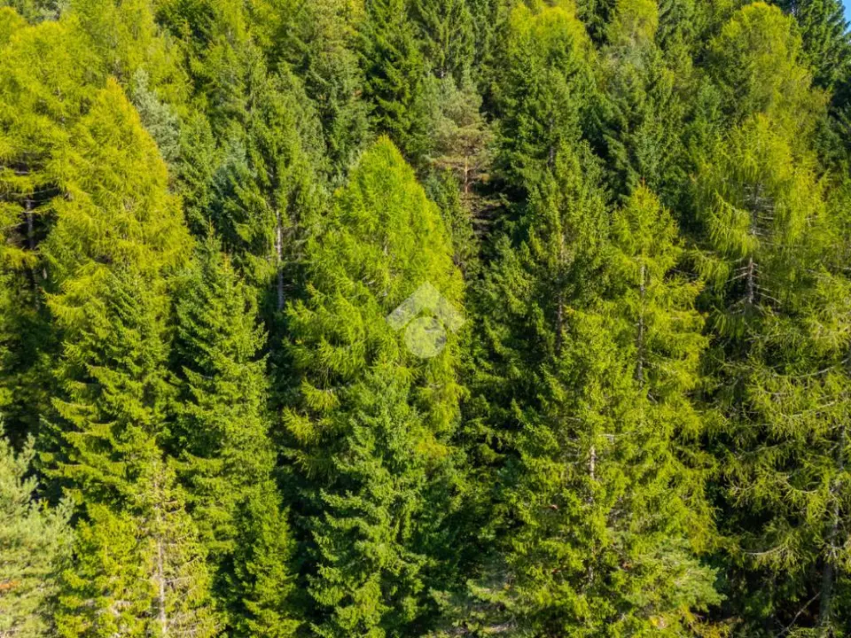Ter. agricolo in vendita a Folgaria