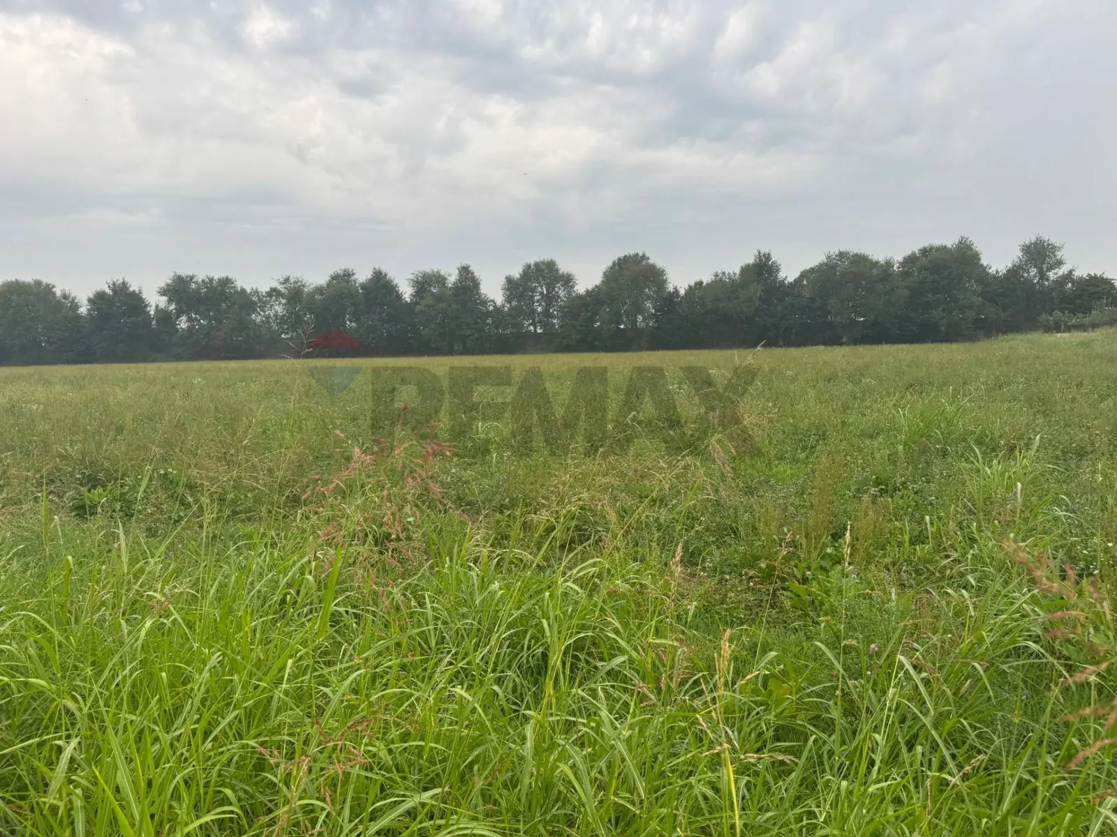 Terreno in Vendita a Cologno al Serio