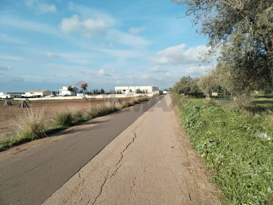 Terreno Edificabile in Vendita a Comiso