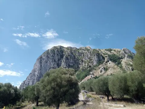 Terreno in Contrada Ceraselle, Acquavena (SA)