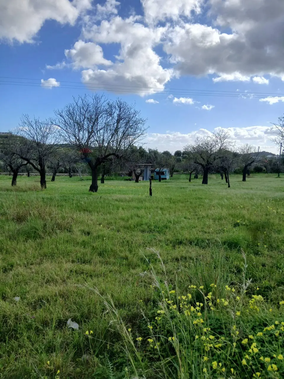 Terreno Edificabile in Vendita a Avola