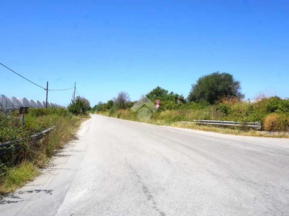 Ter. agricolo in vendita a Battipaglia