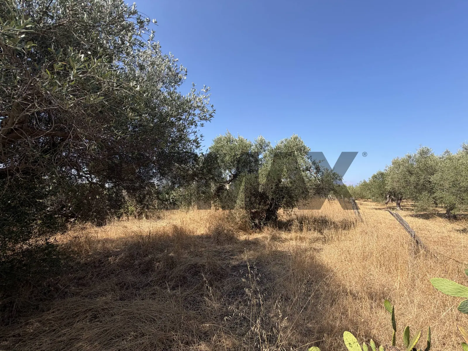 Terreno in Vendita a Terrasini