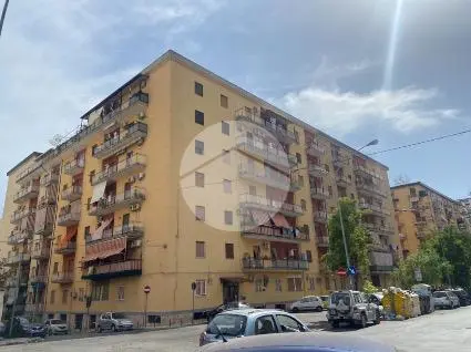 Trilocale in affitto a Palermo
