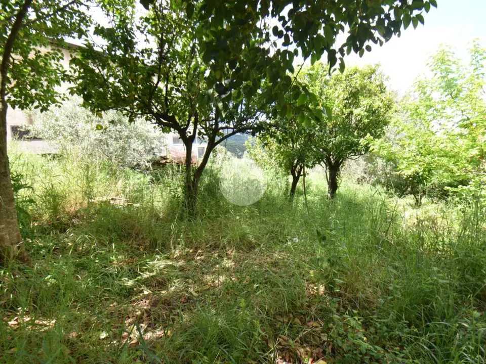 Land for sale in Torchiara
