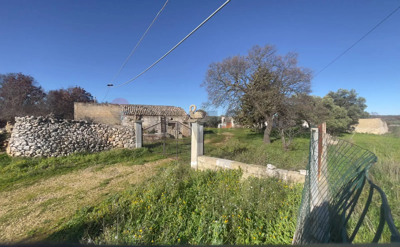 Azienda Agricola in Vendita a Santeramo in Colle