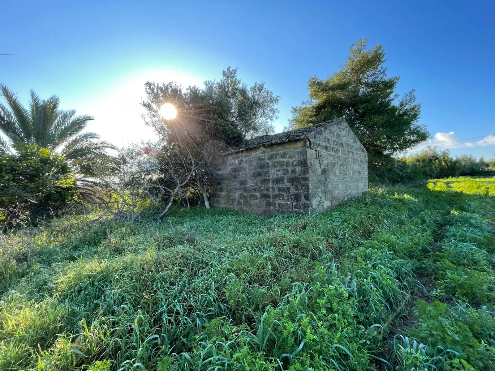 Terreno in Vendita a Noto