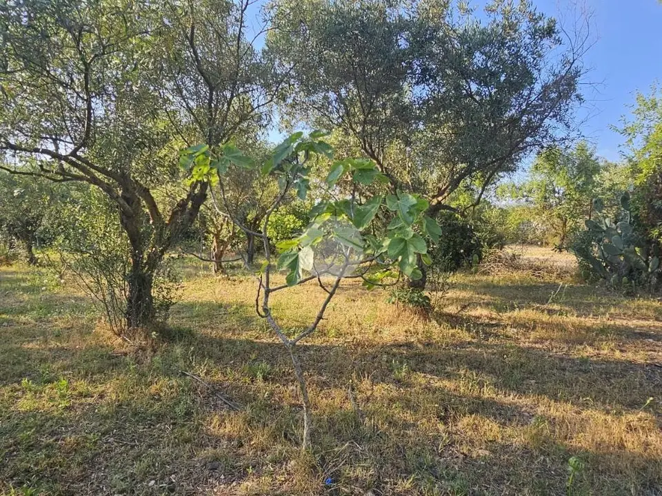 Ter. agricolo in vendita a Quartucciu