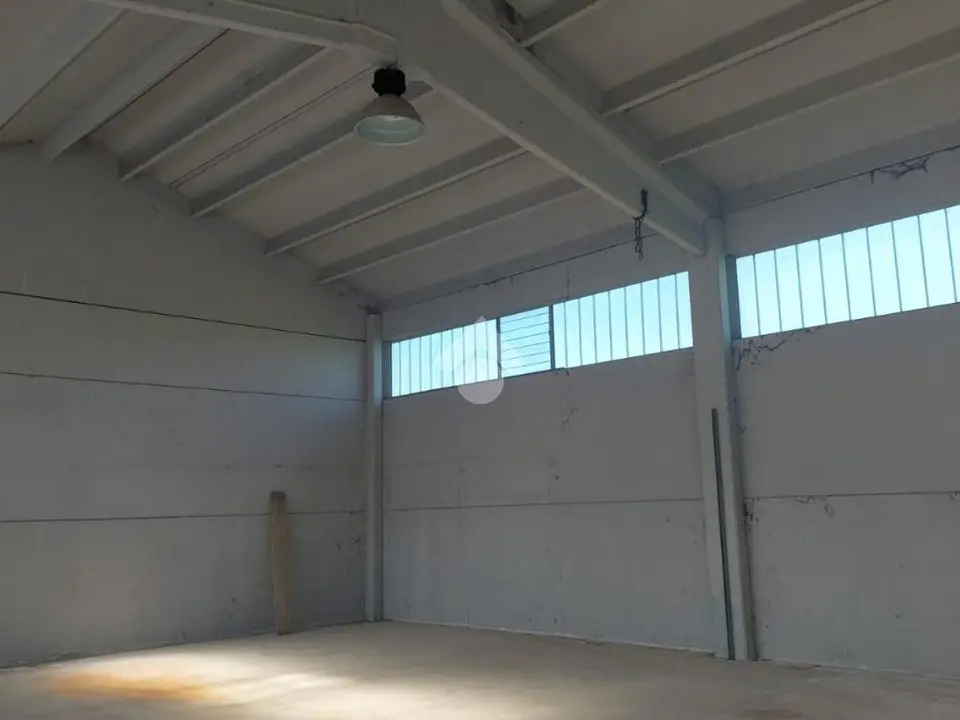 Loft in affitto a Bologna