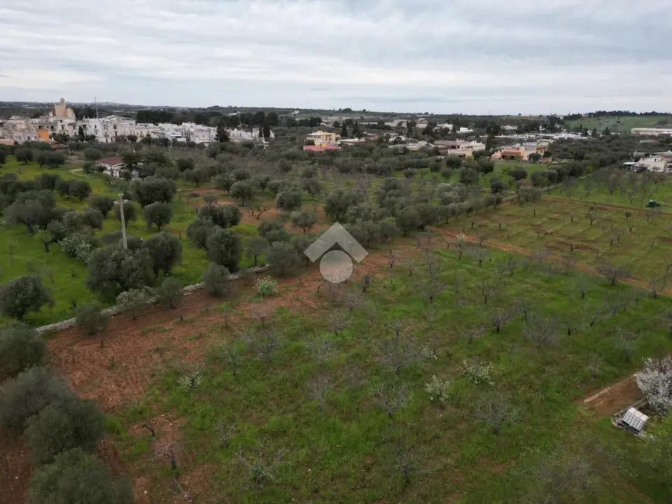 Ter. agricolo in vendita a Polignano A Mare