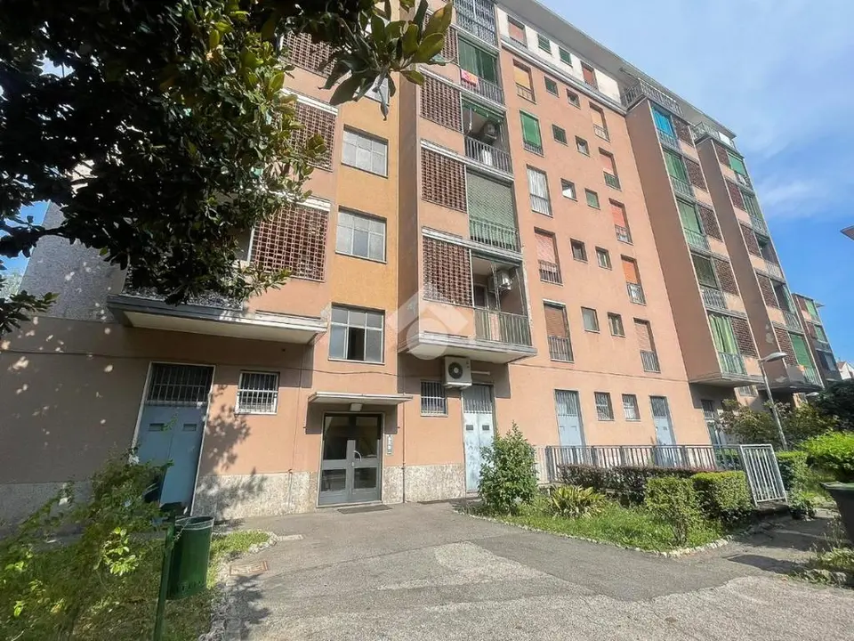Bilocale in affitto a Milano