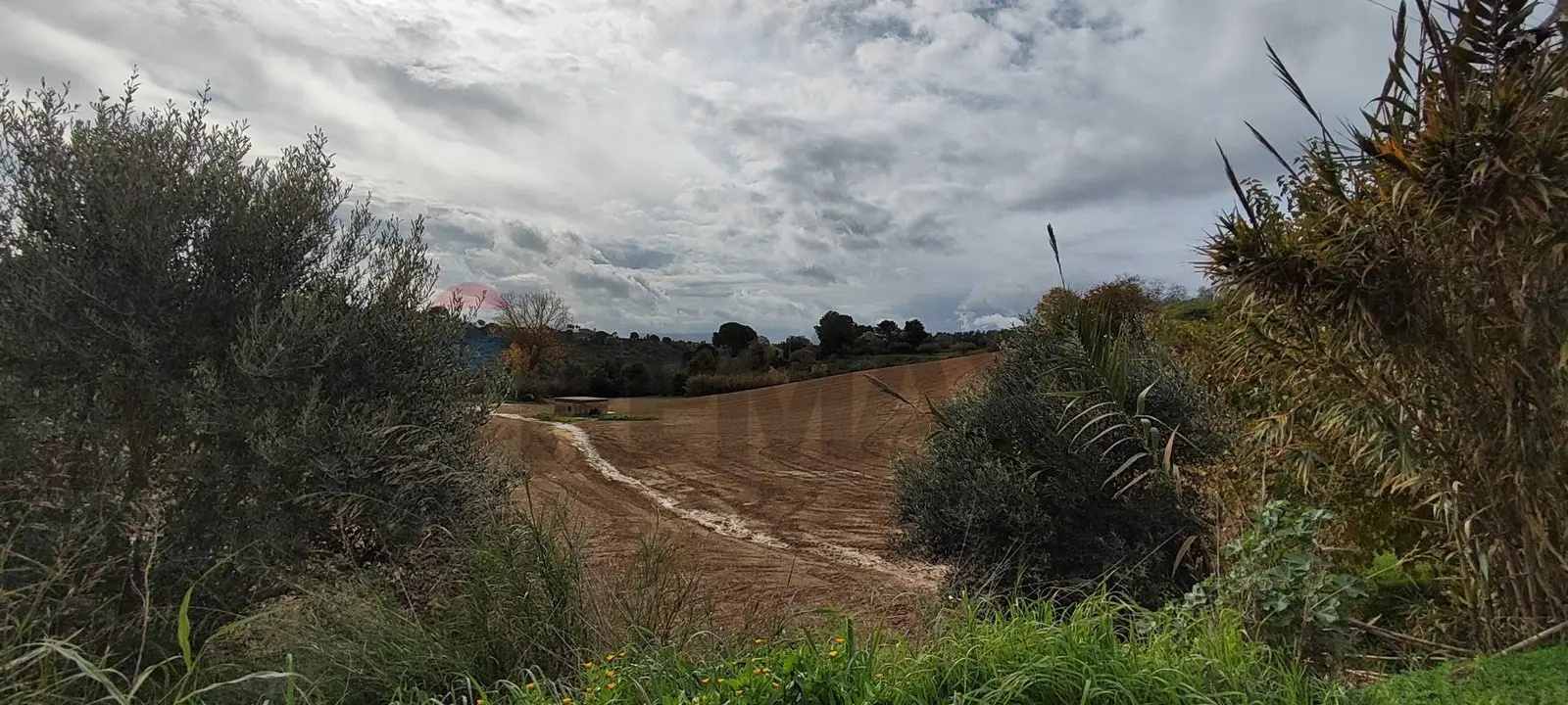 Terreno Edificabile in Vendita a Caltagirone