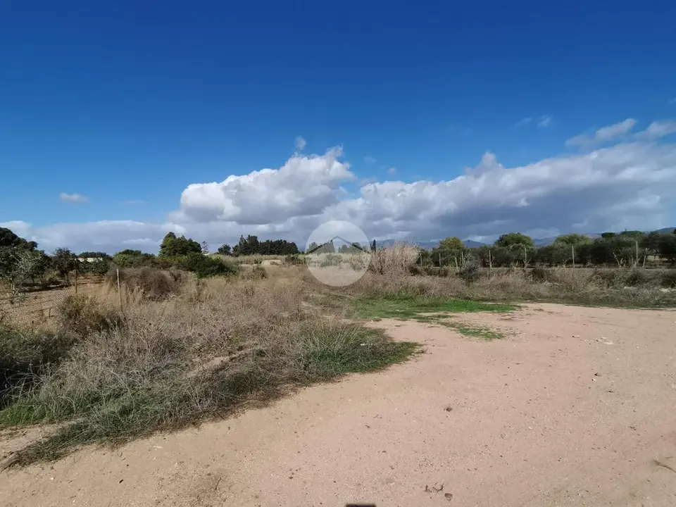 Ter. agricolo in vendita a Quartu Sant'Elena