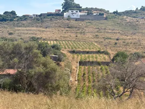 Terreno in Via Nicholaus Kleineberg 2, Messina (ME)