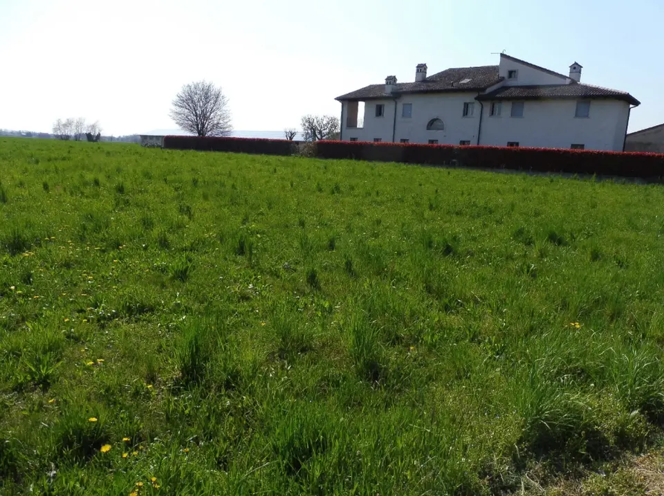 Terreno a Colceresa (VI)